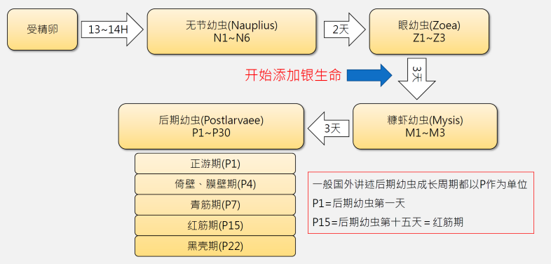 微信图片_20181222181151.png